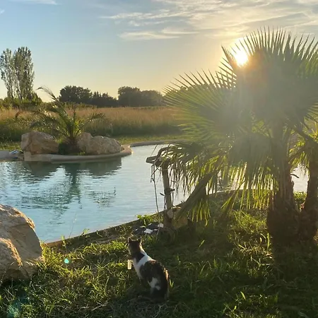 Des Cerisiers Jacuzzi Et Sauna Inclus Pour Tous Les Avignon